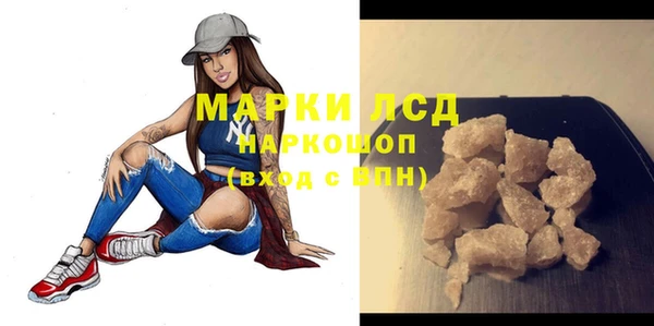 крисы Вязьма