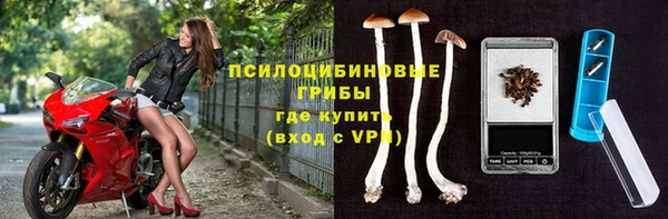 крисы Вязьма