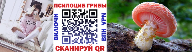 Галлюциногенные грибы Magic Shrooms  Петровск 